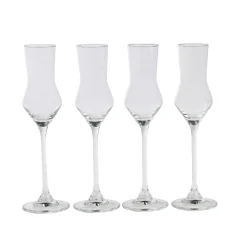 CASA After Dinner Copas De Grappa Juego De 4 Transparente
