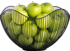 CASA Aster Frutero Negro