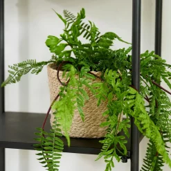 CASA Atlantic Macetero Natural