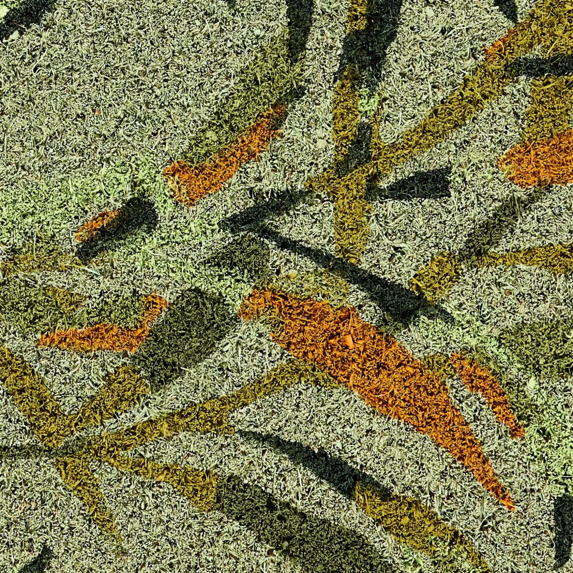 CASA Bambou Felpudo Verde