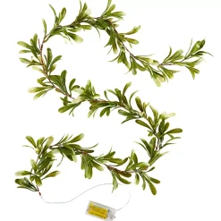 CASA Blatte Guirnalda Verde