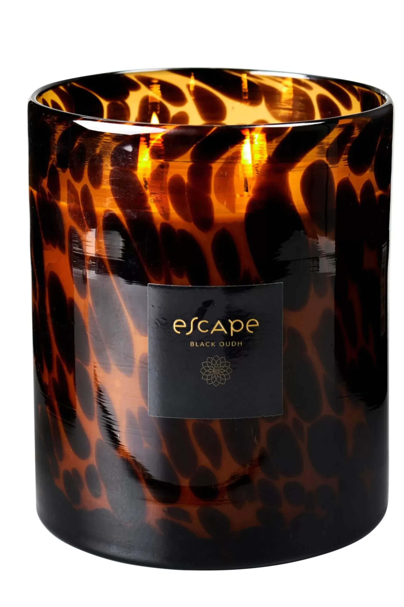 CASA Escape Black Oudh Negro, Marron, Ocre