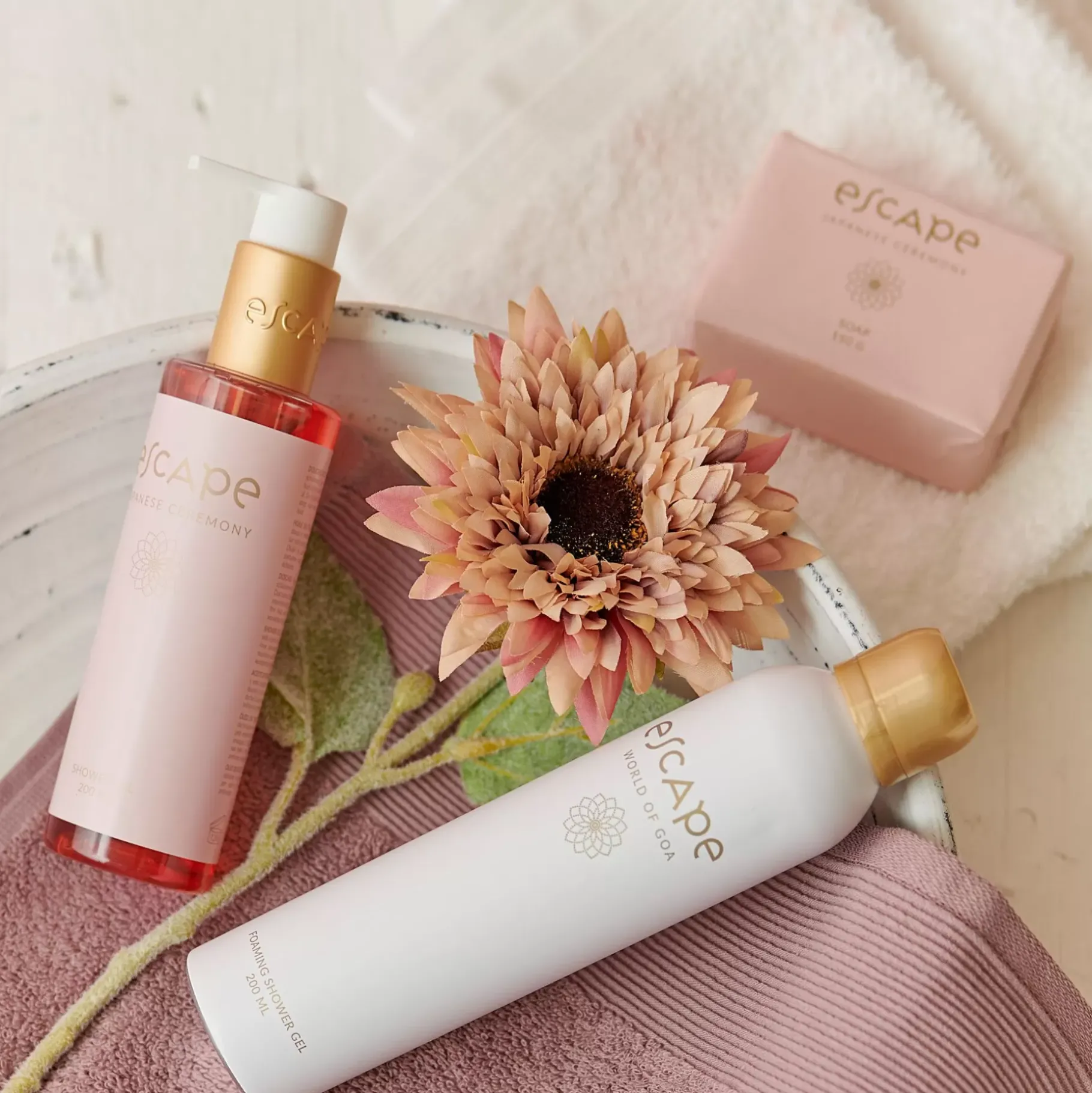 CASA Escape Japanese Ceremony Jabon Rojo