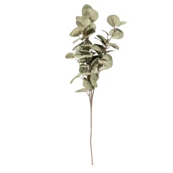 CASA Eva Eucalipto Verde