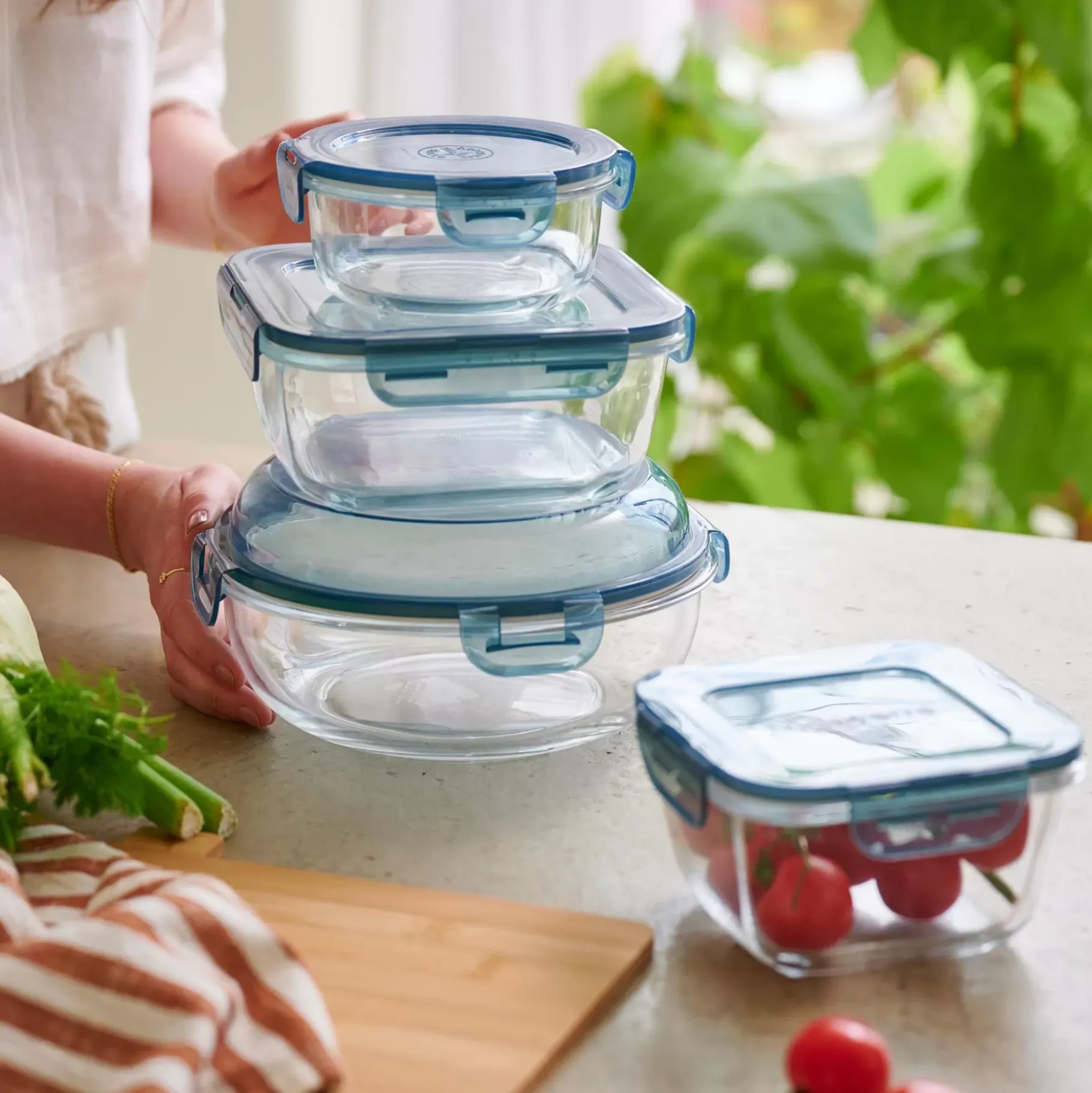 CASA Evolution Fuente Para Horno Con Tapa Gris, Transparente