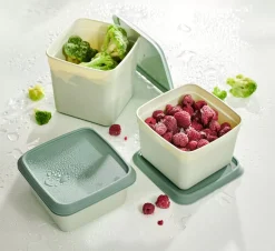 CASA Freezer Cajas Congeladoras Juego De 10 Menta, Verde Oscuro