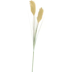 CASA Grass Cana Con Pluma Verde