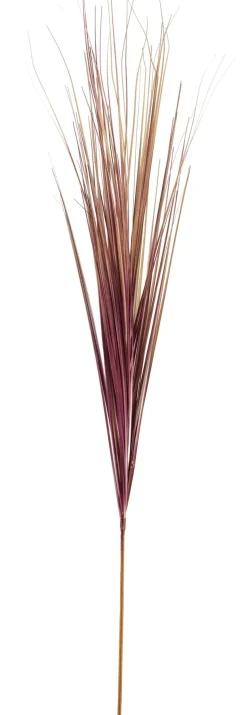 CASA Grass Haz De Hierba Rojo