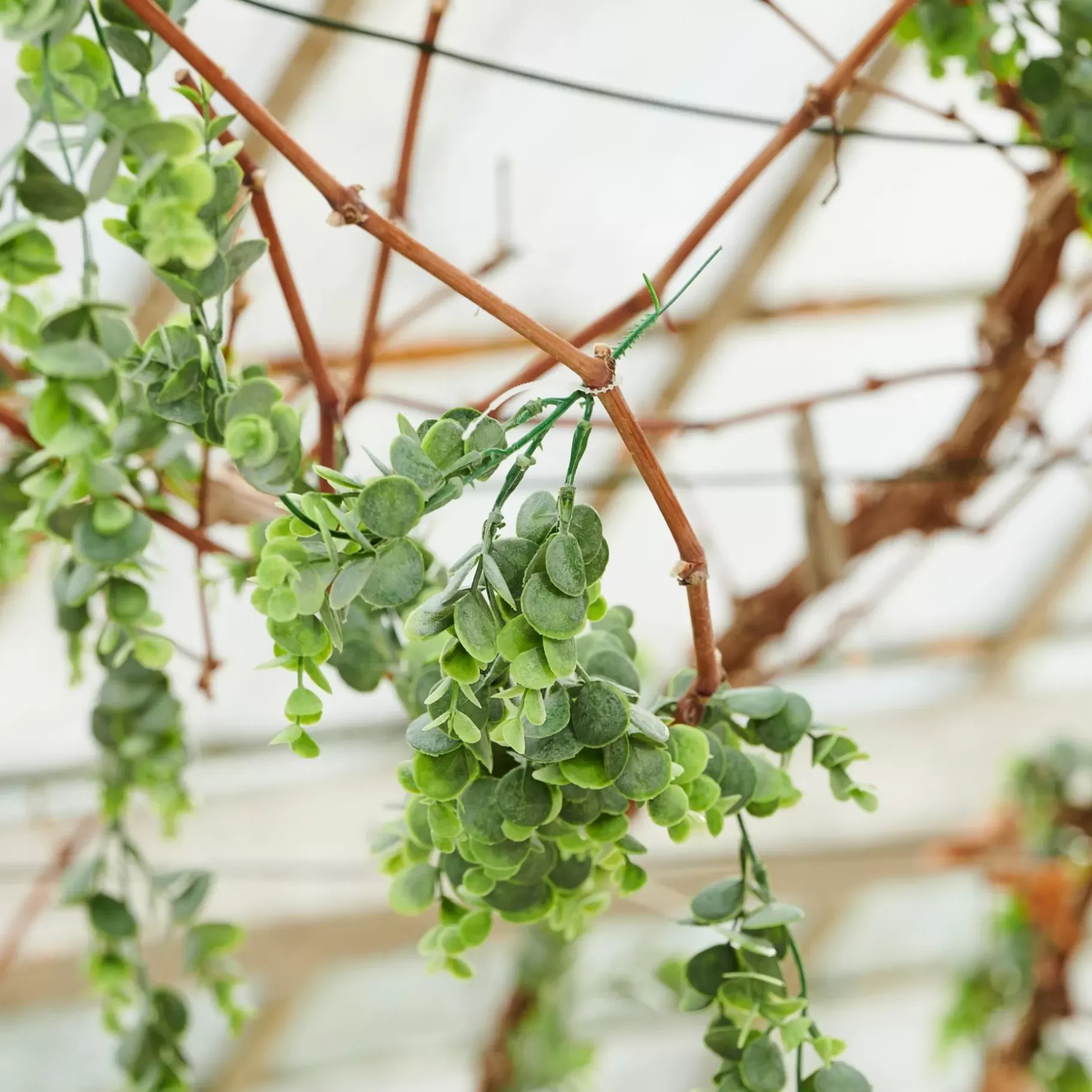 CASA Green Rama Sintetico Verde