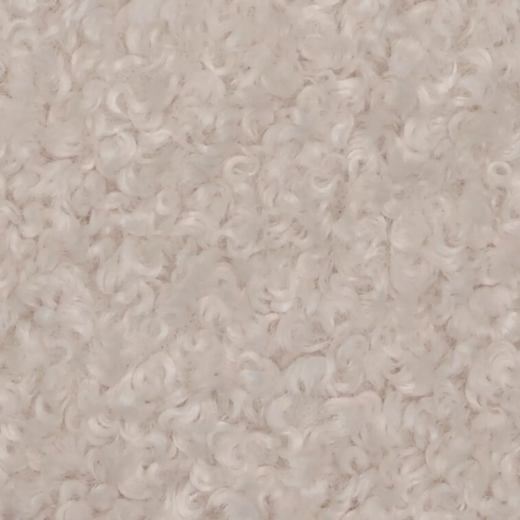 CASA Hugo Cojin Blanco