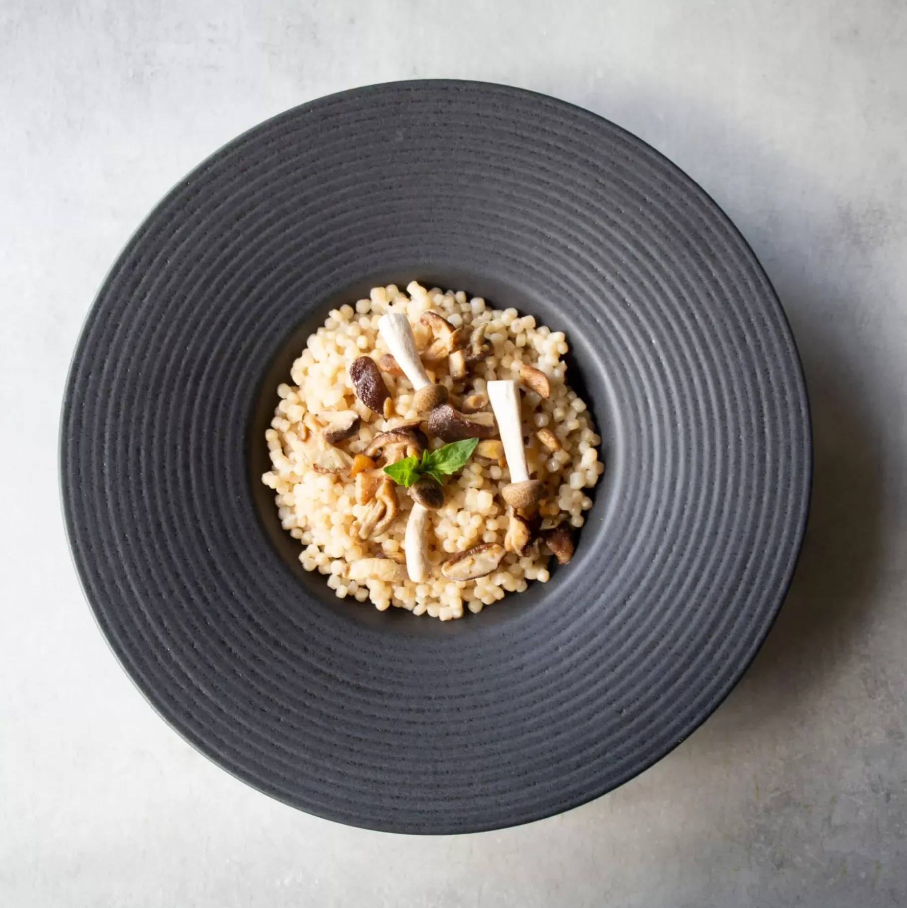 CASA Masterchef Plato Gourmet Negro