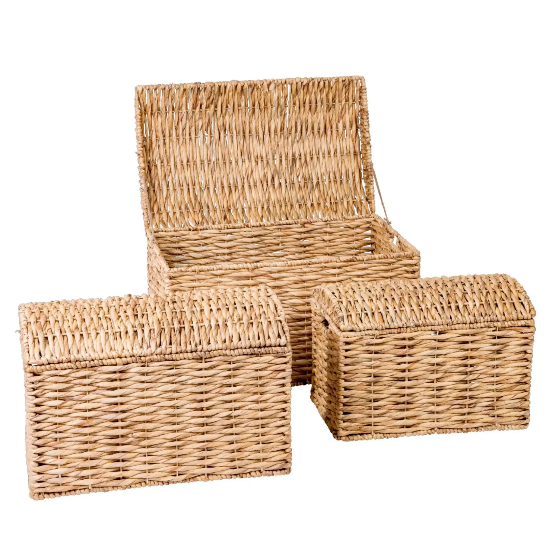 CASA Miley Maleta Para Natural