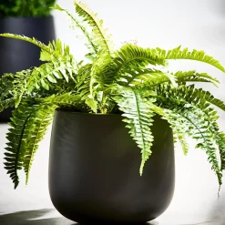 CASA Sense Macetero Negro