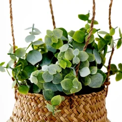 CASA Terra Planta En Maceta Blanco, Verde