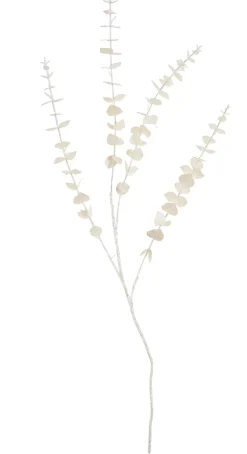 CASA White Rama De Eucalipto Blanco